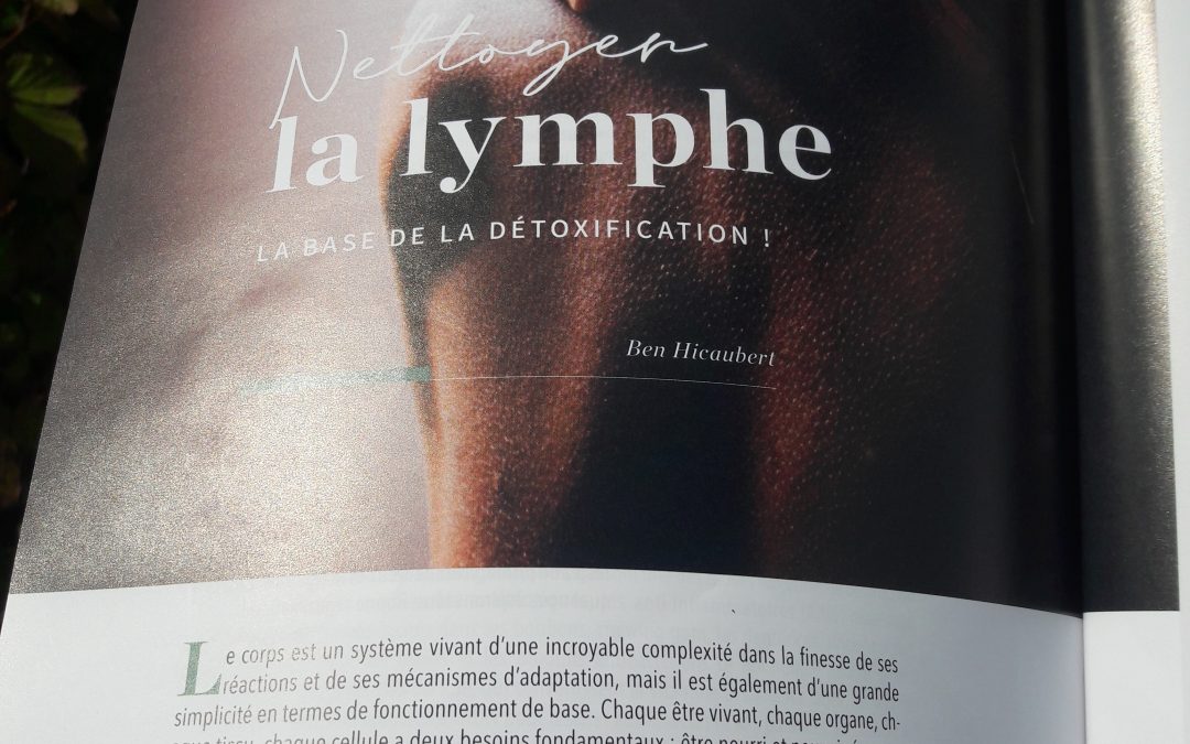 La lymphe (Le Chou Brave magazine)